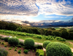 View of the Mud Brick Winery on our Shore Excursion from Auckland